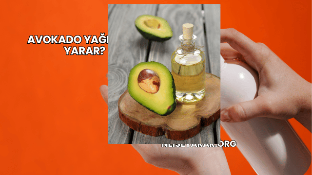 Avokado Yağı Ne İşe Yarar?