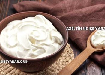 Azeltin Ne İşe Yarar?