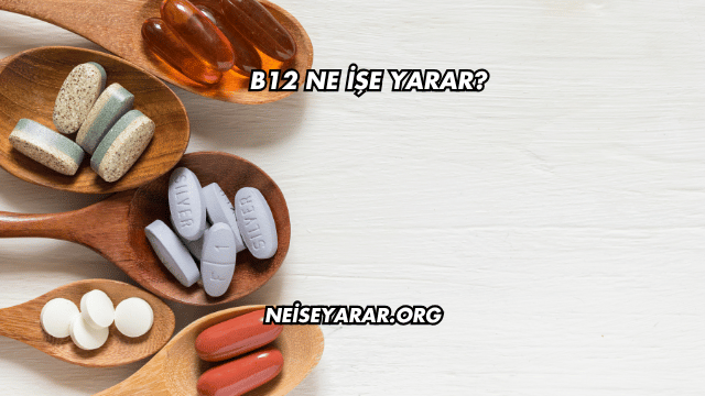 B12 Ne İşe Yarar?