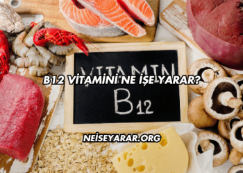 B12 Vitamini Ne İşe Yarar?
