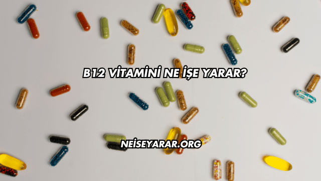 B12 Vitamini Ne İşe Yarar?