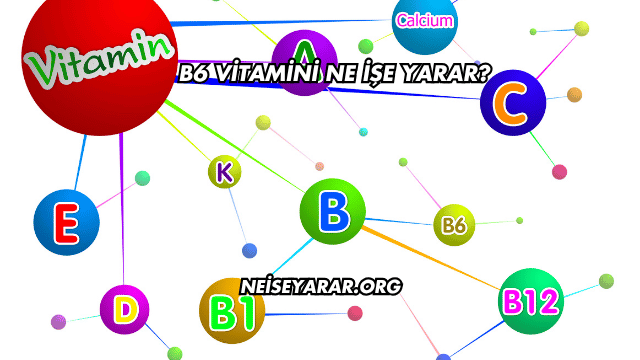 B6 Vitamini Ne İşe Yarar?