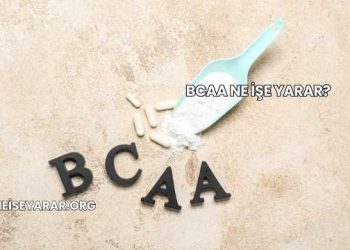 BCAA Ne İşe Yarar?