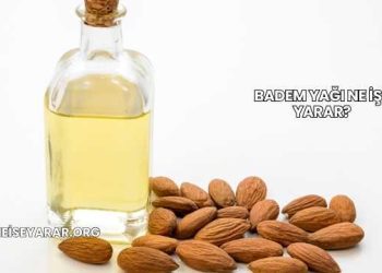 Badem Yağı Ne İşe Yarar?