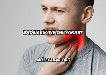 Bademcik Ne İşe Yarar?
