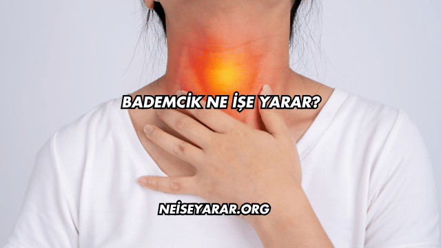 Bademcik Ne İşe Yarar?