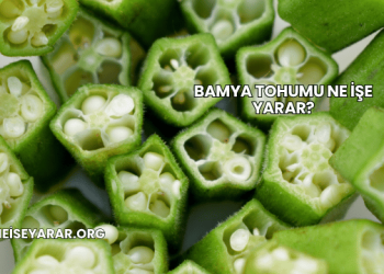 Bamya Tohumu Ne İşe Yarar?