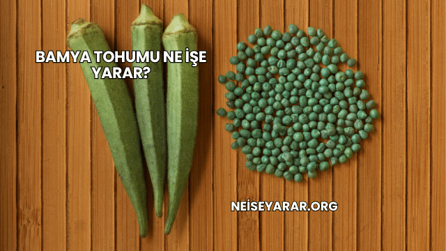 Bamya Tohumu Ne İşe Yarar?