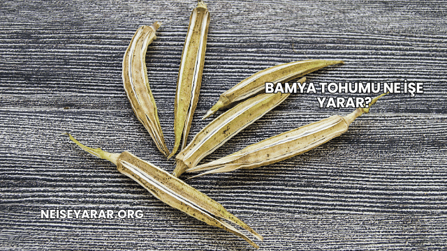 Bamya Tohumu Ne İşe Yarar?