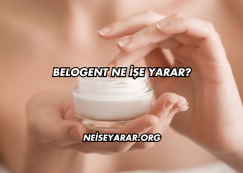 Belogent Ne İşe Yarar?
