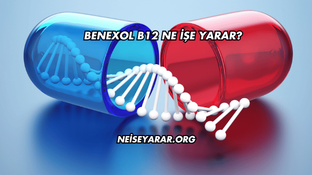 Benexol B12 Ne İşe Yarar?