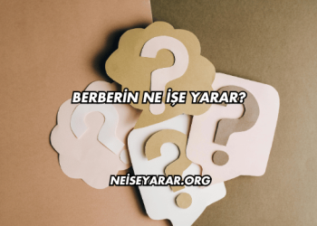 Berberin Ne İşe Yarar?