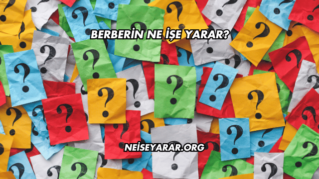 Berberin Ne İşe Yarar?