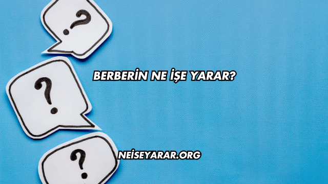 Berberin Ne İşe Yarar?