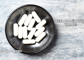 Beta Alanin Ne İşe Yarar?