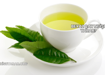 Beyaz Çay Ne İşe Yarar?