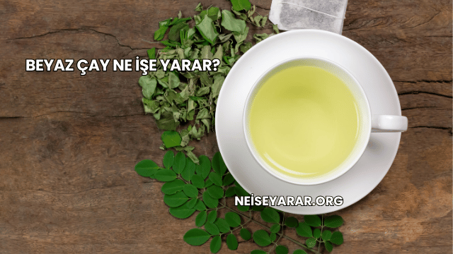 Beyaz Çay Ne İşe Yarar?