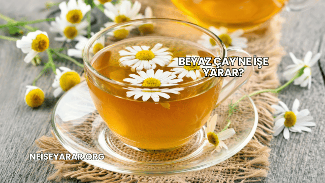 Beyaz Çay Ne İşe Yarar?