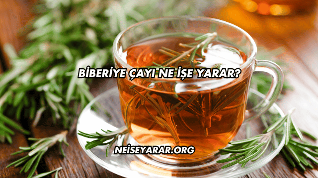 Biberiye Çayı Ne İşe Yarar?