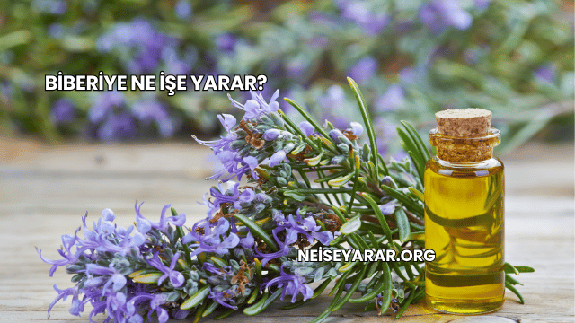 Biberiye Ne İşe Yarar?