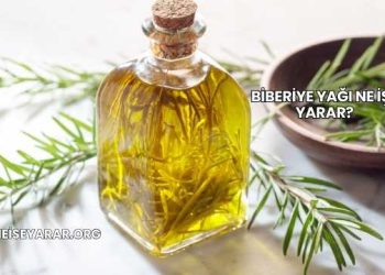 Biberiye Yağı Ne İşe Yarar?