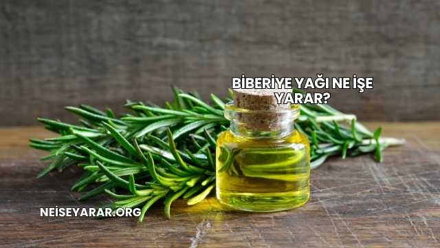 Biberiye Yağı Ne İşe Yarar?