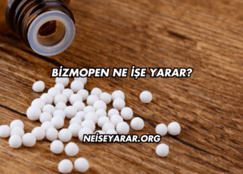 Bizmopen Ne İşe Yarar?