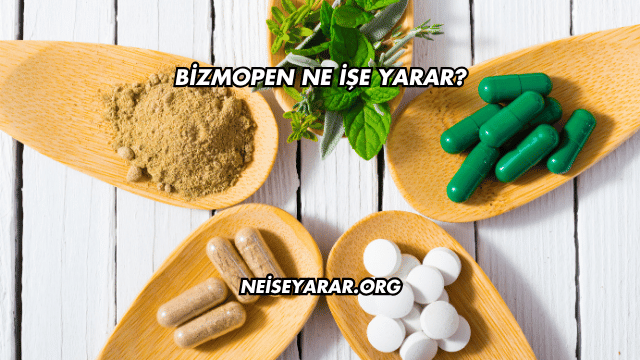 Bizmopen Ne İşe Yarar?