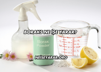 Boraks Ne İşe Yarar?