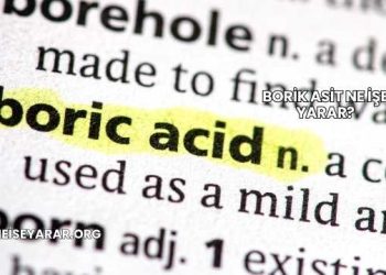 Borik Asit Ne İşe Yarar?