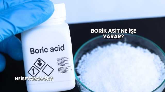 Borik Asit Ne İşe Yarar?