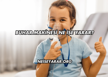 Buhar Makinesi Ne İşe Yarar?