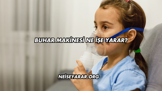 Buhar Makinesi Ne İşe Yarar?