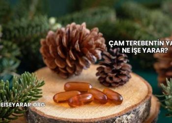 Çam Terebentin Yağı Ne İşe Yarar?
