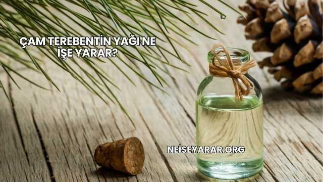 Çam Terebentin Yağı Ne İşe Yarar?
