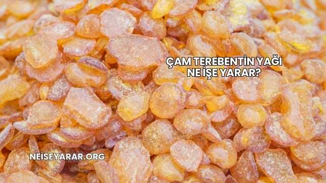 Çam Terebentin Yağı Ne İşe Yarar?