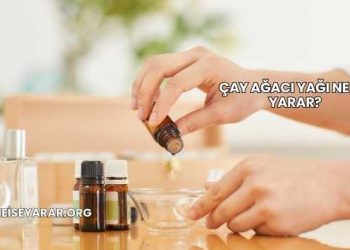 Çay Ağacı Yağı Ne İşe Yarar?