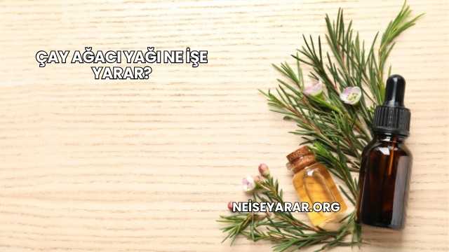 Çay Ağacı Yağı Ne İşe Yarar?