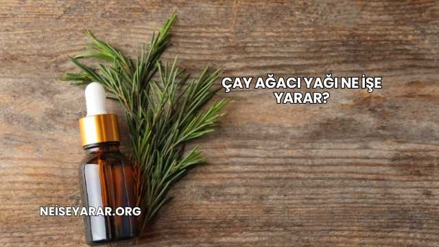 Çay Ağacı Yağı Ne İşe Yarar?
