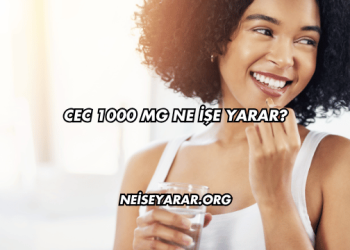Cec 1000 Mg Ne İşe Yarar?