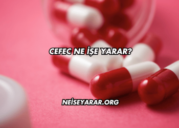 Cefec Ne İşe Yarar?
