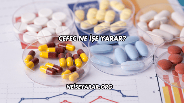 Cefec Ne İşe Yarar?