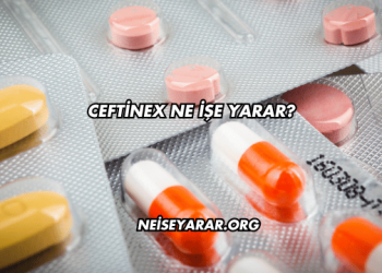 Ceftinex Ne İşe Yarar?