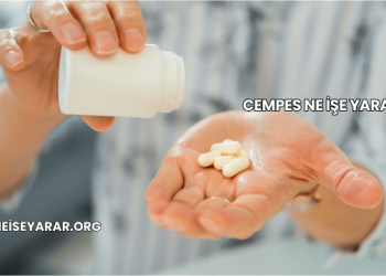 Cempes Ne İşe Yarar?