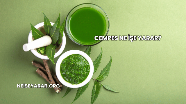 Cempes Ne İşe Yarar?