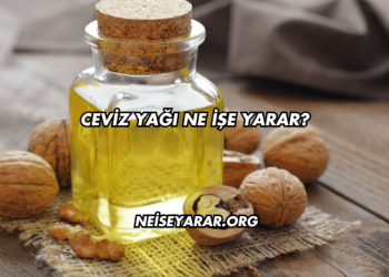 Ceviz Yağı Ne İşe Yarar?