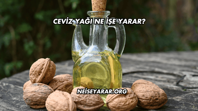 Ceviz Yağı Ne İşe Yarar?