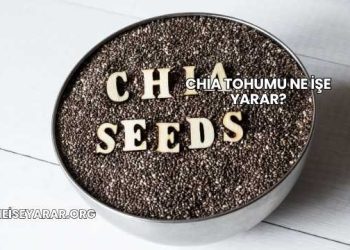Chia Tohumu Ne İşe Yarar?