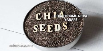 Chia Tohumu Ne İşe Yarar?