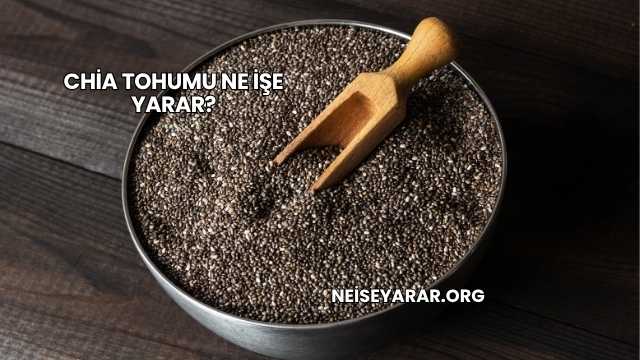 Chia Tohumu Ne İşe Yarar?